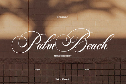 Palm Beach Modern Script Font