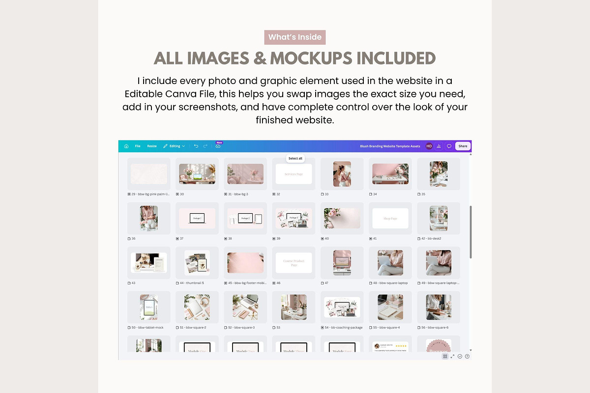 Systeme.io Blush Website Template, a Landing Page Template by Hayley's Digital Hub (Photo 7 of 10)