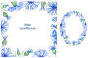 Blue cornflowers bundle, a Decorative Illustration by EshaStudio (Thumbnail 6 of 15)