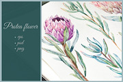 Watercolor Flower Protea, an Illustration by Lembrik's Artworks (Thumbnail 1 of 5)