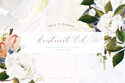 Aristocrat Hand Painted Oil Clip Art, a Texture Illustration by Create The Cut (Thumbnail 1 of 14)