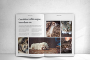 The Magazine, a Magazine Template by design_pick (Thumbnail 21 of 22)
