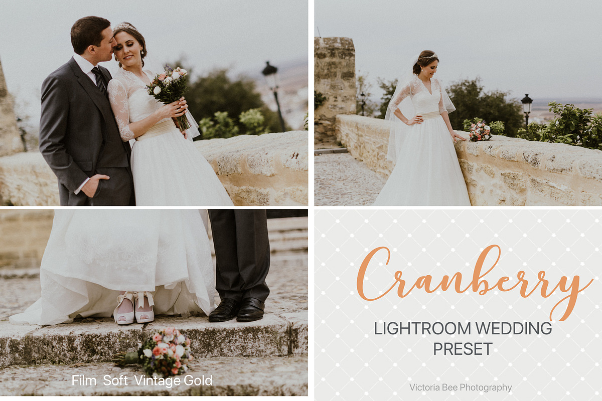 Desktop Lightroom Presets CRANBERRY, a Plug-in Add-On by Victoria Bee Presets (Photo 15 of 29)