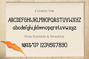 Sky Night Font, a Serif Font by ArdiDesigns (Thumbnail 2 of 4)