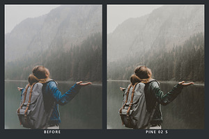 Cedar Lightroom Presets & LUTs