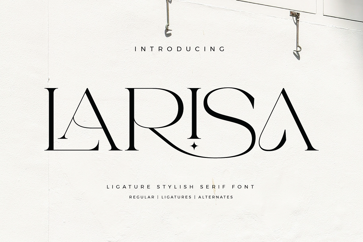 Larisa - Stylish Serif Font, a Serif Font by Aqeel_Art (Photo 1 of 9)