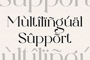 Elegant Serif - Roman Escort, a Serif Font by Font Liner (Thumbnail 14 of 14)