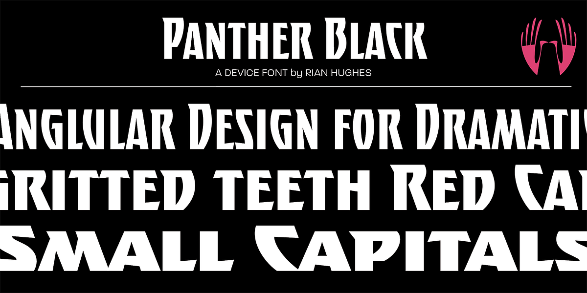 Panther Black, a Font by Device (Photo 5 of 5)