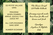 ED Petite Vallade - Font Duo, a Script Font by Emyself Design (Thumbnail 4 of 12)