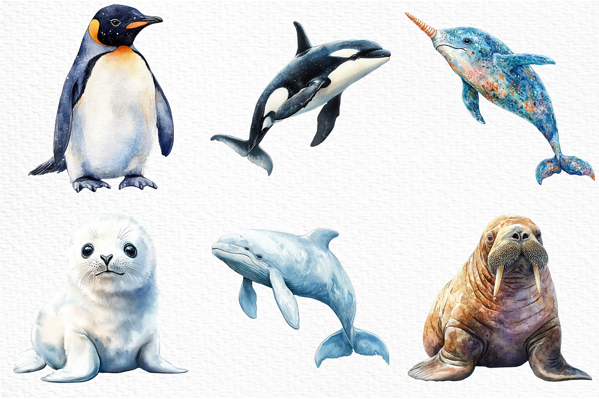 Arctic Animals Clipart, an Illustration by Craft Nest (Photo 2 of 6)