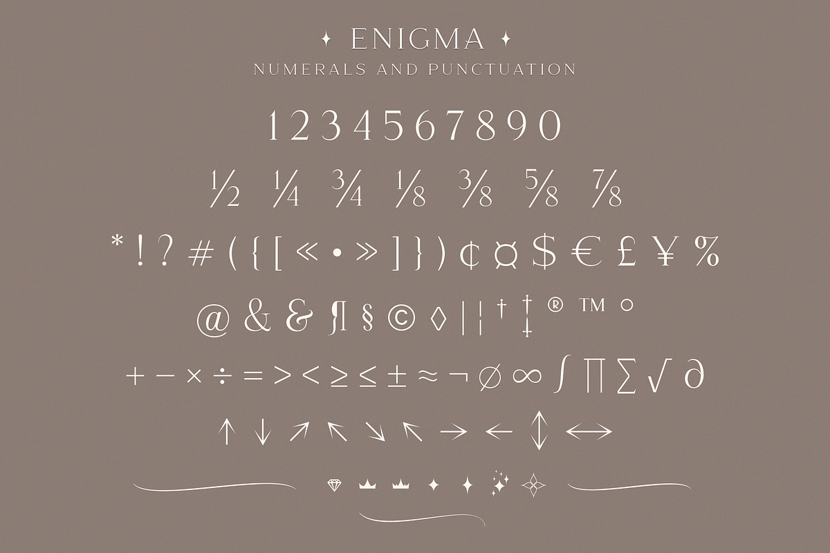 Enigma, a Serif Font by Larin Type Co. (Photo 14 of 16)