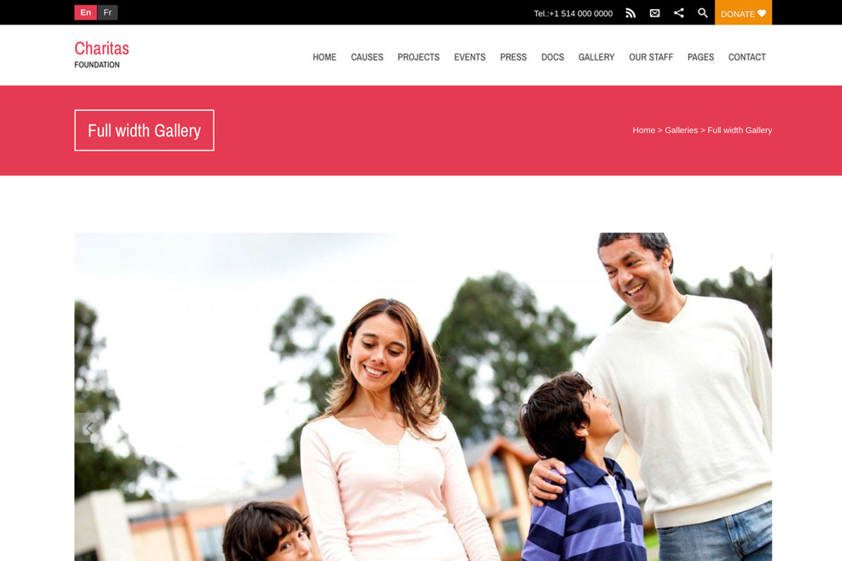 Charitas/Foundation WordPress Theme, a WordPress Template by WPlook WordPress Themes (Photo 3 of 5)