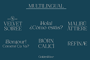 Golden Wave - Elegant Font, a Font by Say Studio (Thumbnail 8 of 12)