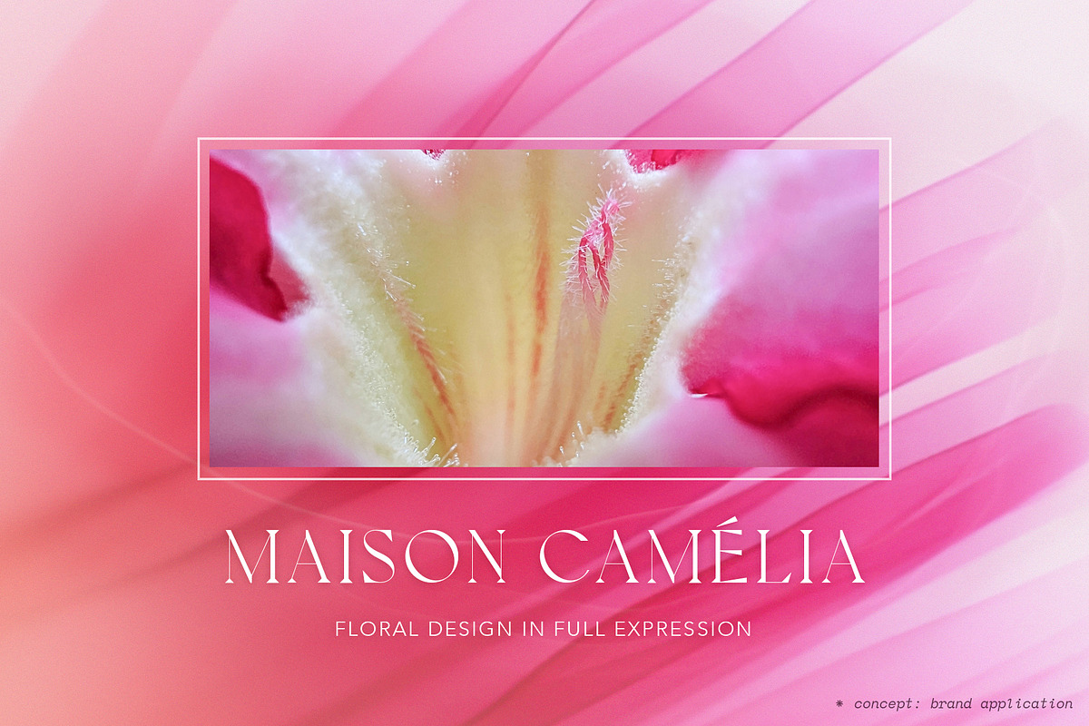 PETALPULSE: Floral Blur Background, a Background Graphic by alonahaidash (Photo 8 of 12)