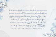 Alveykina | Beauty Handwritten Font, a Script Font by gracetype_studio (Thumbnail 11 of 12)