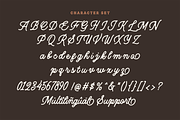 Callerina - Vintage Script Typeface, a Script Font by overlaytemplates (Thumbnail 6 of 7)