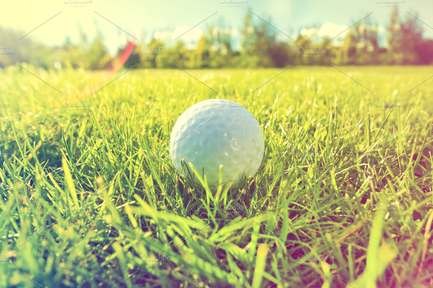 Golf game. Golf ball., a Sports & Recreation Photo by Milosz Aniol
