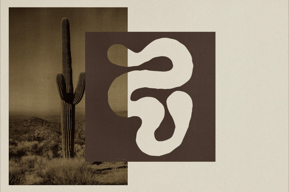 Organic Planet - 40 Hand Drawn Icons, a Decorative Illustration by Madeline ODonoghue Design (Photo 18 of 23)