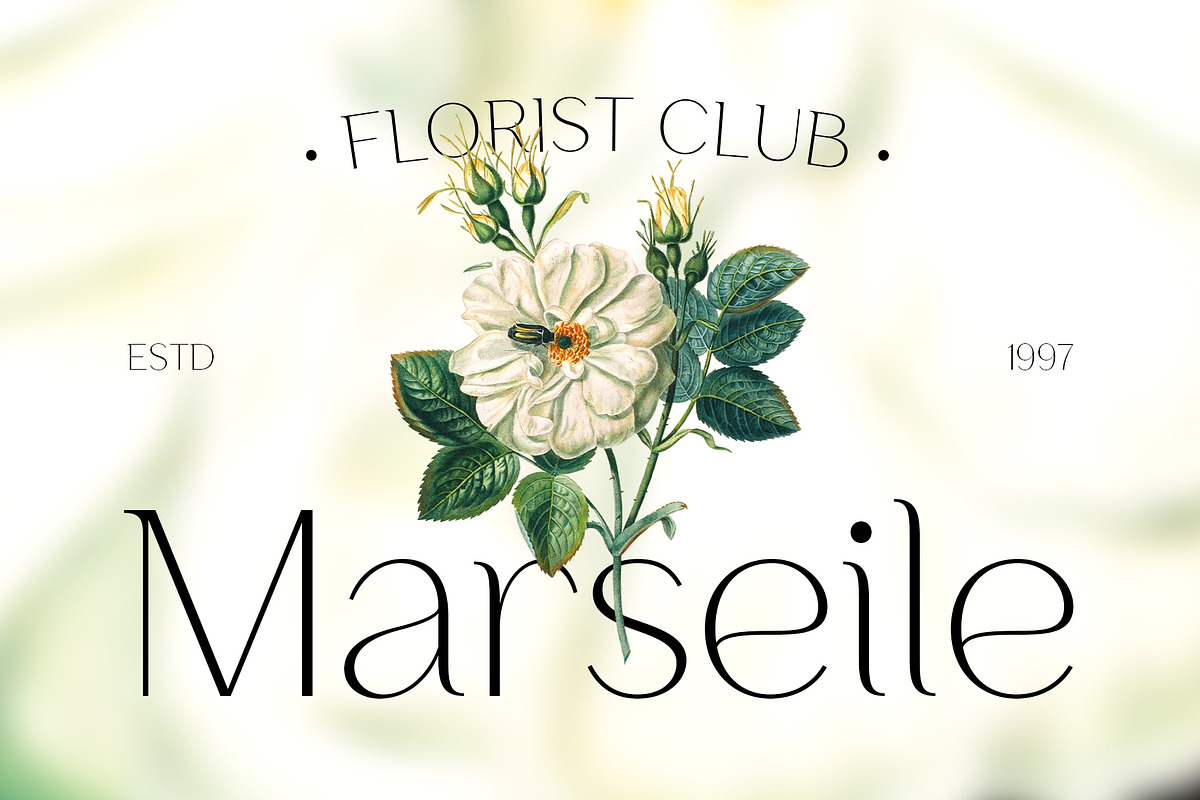 Maison De Artisan - Hybrid Serif, a Serif Font by Craft Supply Co. (Photo 4 of 9)