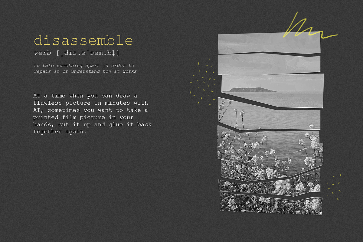 Disassemble - Photoshop collages, a Social Media Template by Anna's Creative Store (Photo 2 of 10)