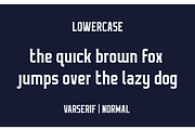 Varserif Font Family, a Serif Font by Alphabet Agency (Thumbnail 3 of 16)