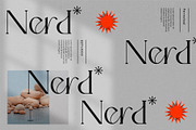 Fernstad - Elegant Serif Font, a Serif Font by Eztudio (Thumbnail 2 of 16)