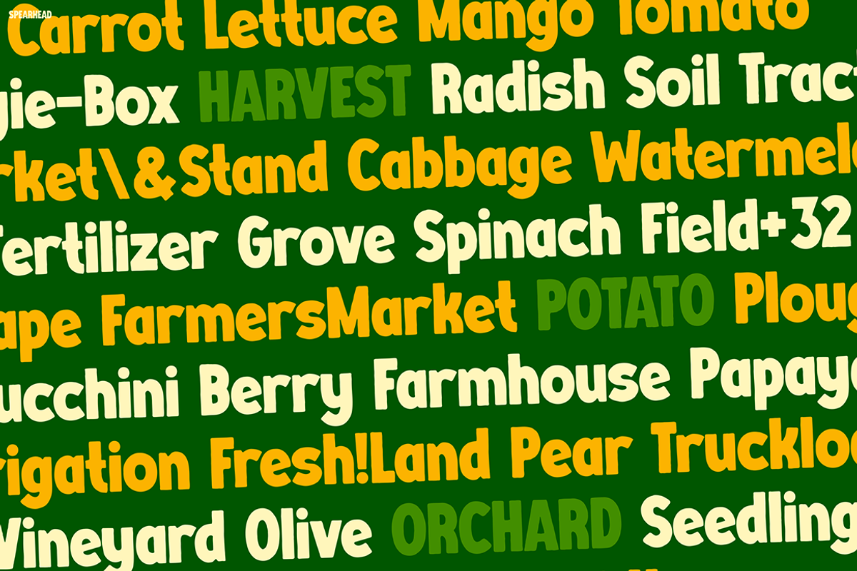 SPEARHEAD, a Sans Serif Font by Pinisi ART (Photo 7 of 10)