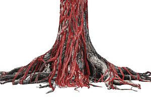 Isolated tree with blood red trunk, a Photo by DanFLCreativo