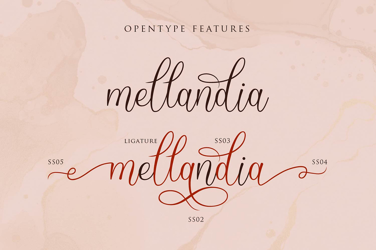 Mellandia, a Script Font by sabrcreative (Photo 2 of 12)