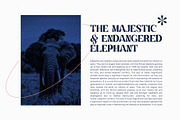 Kinsley Elegant Serif Font, a Serif Font by Graphicxell (Thumbnail 4 of 10)