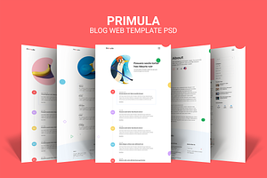 Primula - Modern Web Template PSD