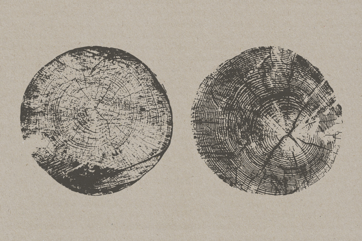 Tree Stump Textures - Vector & PNG, a Texture Graphic by Offset