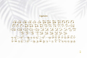 Halone - Calligraphy Font Script, a Script Font by haniefart (Thumbnail 5 of 10)