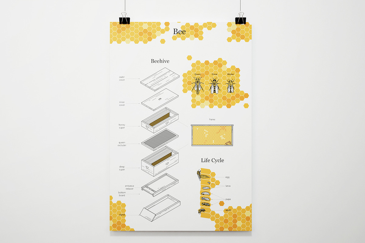 Beekeeping illustrations + tri-fold, an Education Illustration by bartamarabara (Photo 4 of 4)