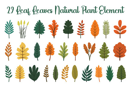 29 Leaf Leaves Natural Plant Element, a Decorative Illustration by jongcreative