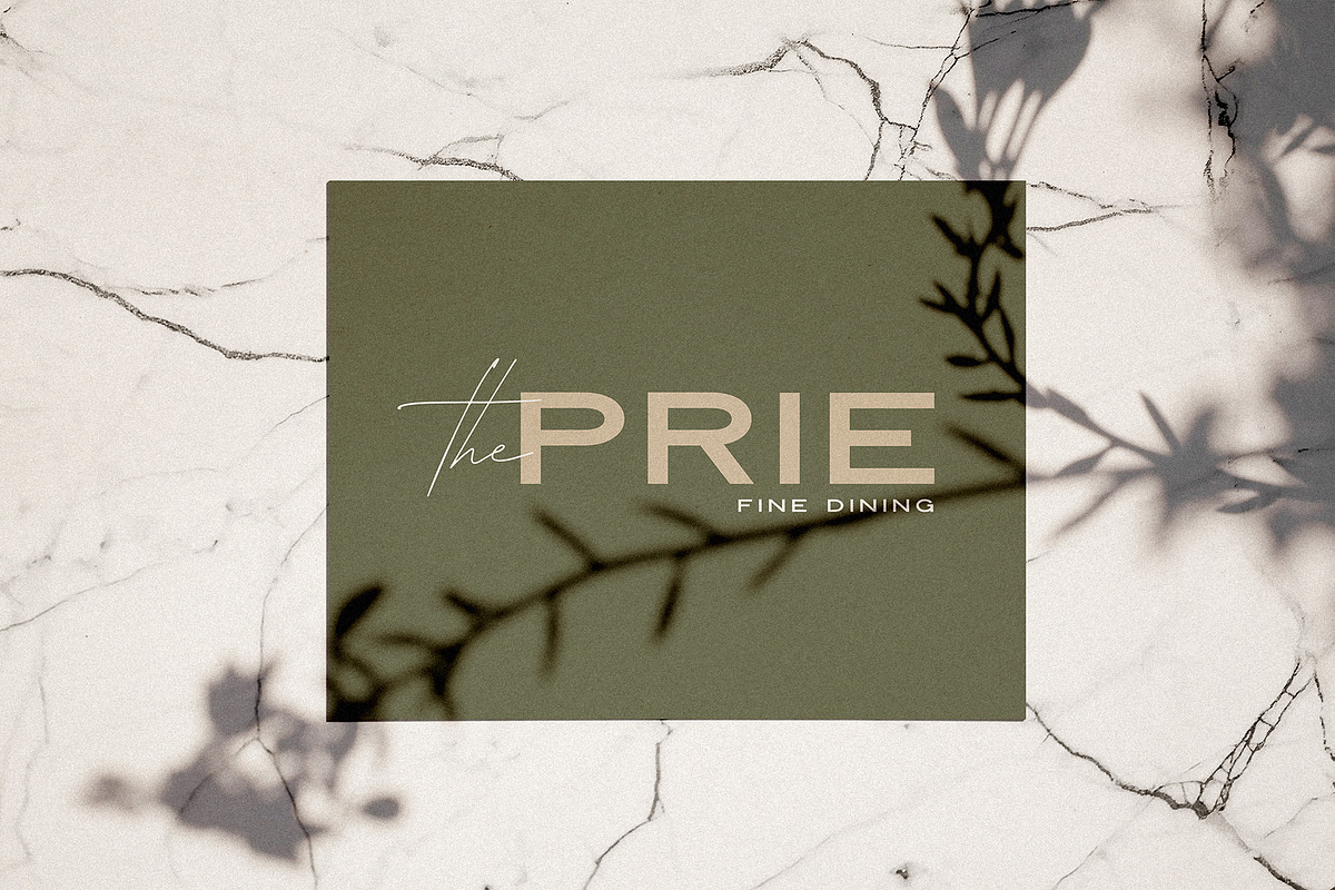 Modena | Duo with 6 Free Logos, a Sans Serif Font by Jen Wagner Co (Photo 9 of 22)