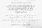 Melvin and Emily Font Duo, a Script Font by Ivan Rosenberg (Thumbnail 10 of 11)