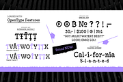 Antypica Bold, a Slab Serif Font by Anfound Type (Thumbnail 6 of 12)