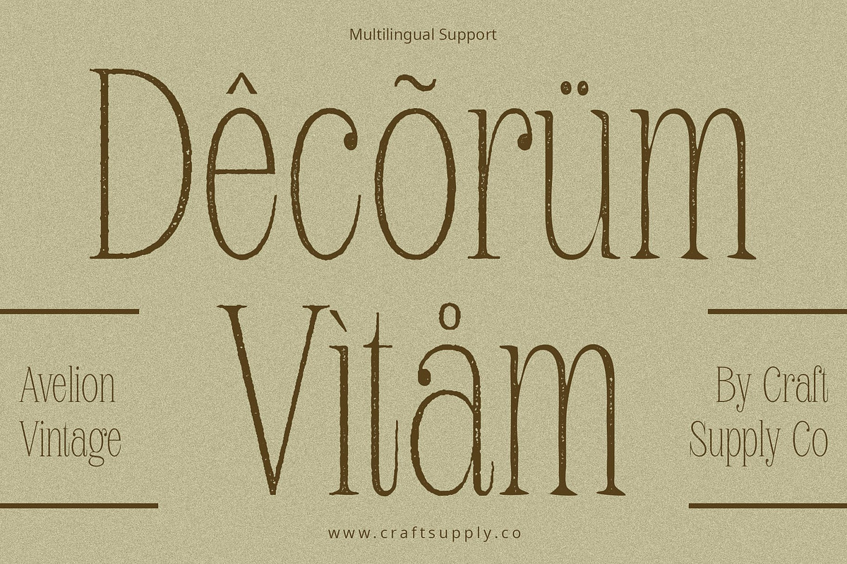 Avelion Vintage, a Serif Font by Craft Supply Co. (Photo 6 of 8)