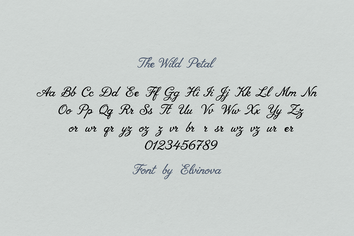 The Wild Petal | Textured Font, a Script Font by elvinova (Photo 12 of 12)