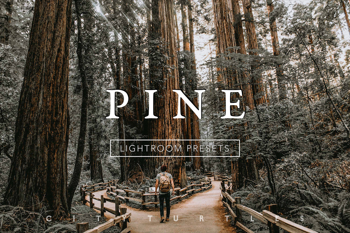 PINE Warm Moody Lightroom Presets