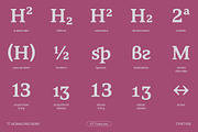 TT Norms Pro Serif, a Serif Font by TypeType (Thumbnail 11 of 15)