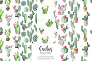Watercolor Exotic Cactus Collection, a Texture Illustration by LarysaZabrotskaya (Thumbnail 5 of 11)