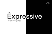 Exensa Grotesk Typeface + Web Fonts, a Sans Serif Font by Designova® (Thumbnail 2 of 10)