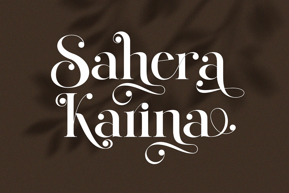 Qid Bronste Elegant Serif, a Serif Font by Perfectype (Photo 3 of 9)