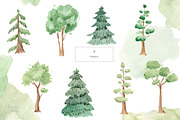 WOODLAND BABIES. Watercolor set, an Animal Illustration by OlliArtDesign (Thumbnail 5 of 9)