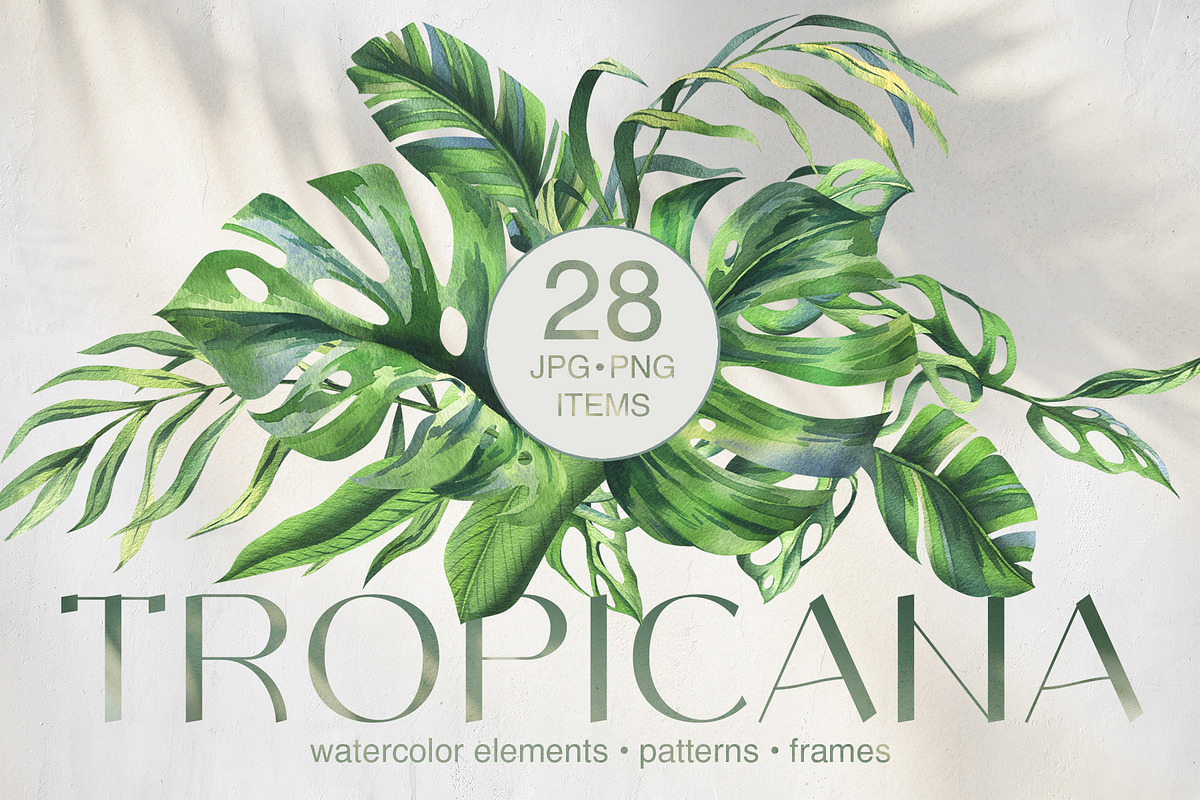 Tropical Leaves Watercolor Set, a Seasonal Illustration by NATASHA CHU (Photo 1 of 13)