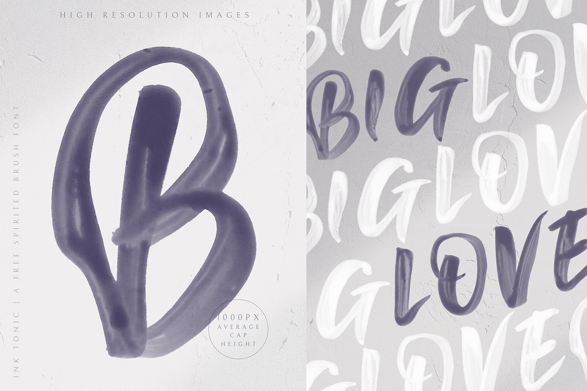 Ink Tonic | A SVG Brush Font, a Script Font by Ayca Atalay (Photo 12 of 21)