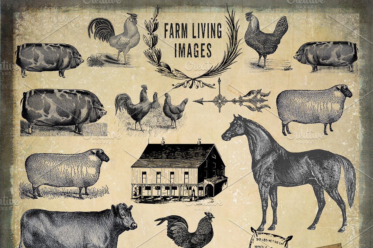 Farm Living Clipart & Backgrounds, an Animal Illustration by Le Paper Cafe (Photo 2 of 5)