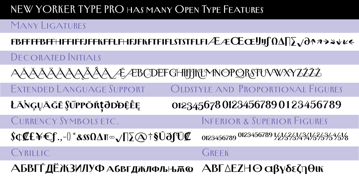 New Yorker Type Pro, a Serif Font by Wiescher-Design (Photo 8 of 8)